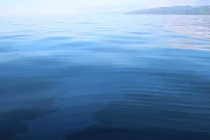 663072b35e2302dee27e0d8c